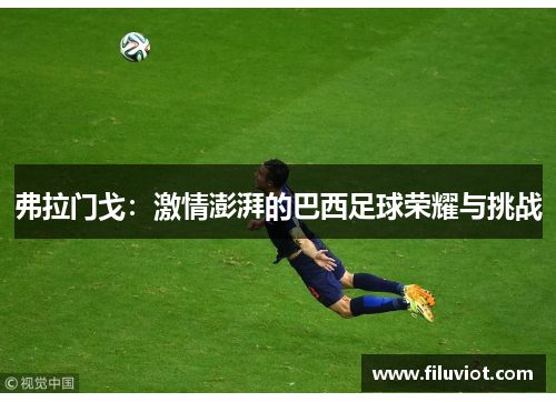 弗拉门戈：激情澎湃的巴西足球荣耀与挑战