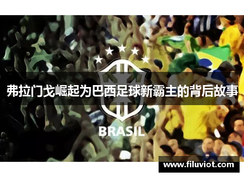 弗拉门戈崛起为巴西足球新霸主的背后故事